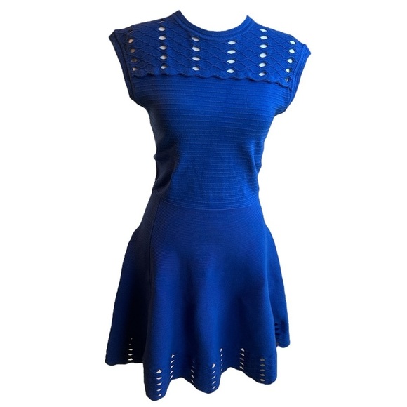 Ted Baker Zaralia Fit & Flare Knit Skater Dress Royal Blue with Cut Outs size 2 - Picture 2 of 12